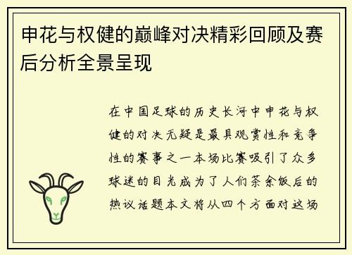 申花与权健的巅峰对决精彩回顾及赛后分析全景呈现